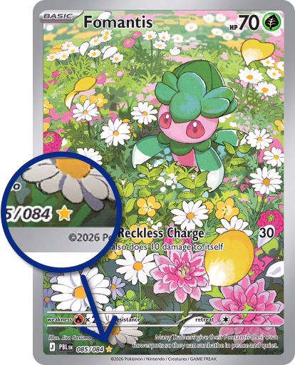 fomantis engelsk pokemonkort eksempel på sjældenhed